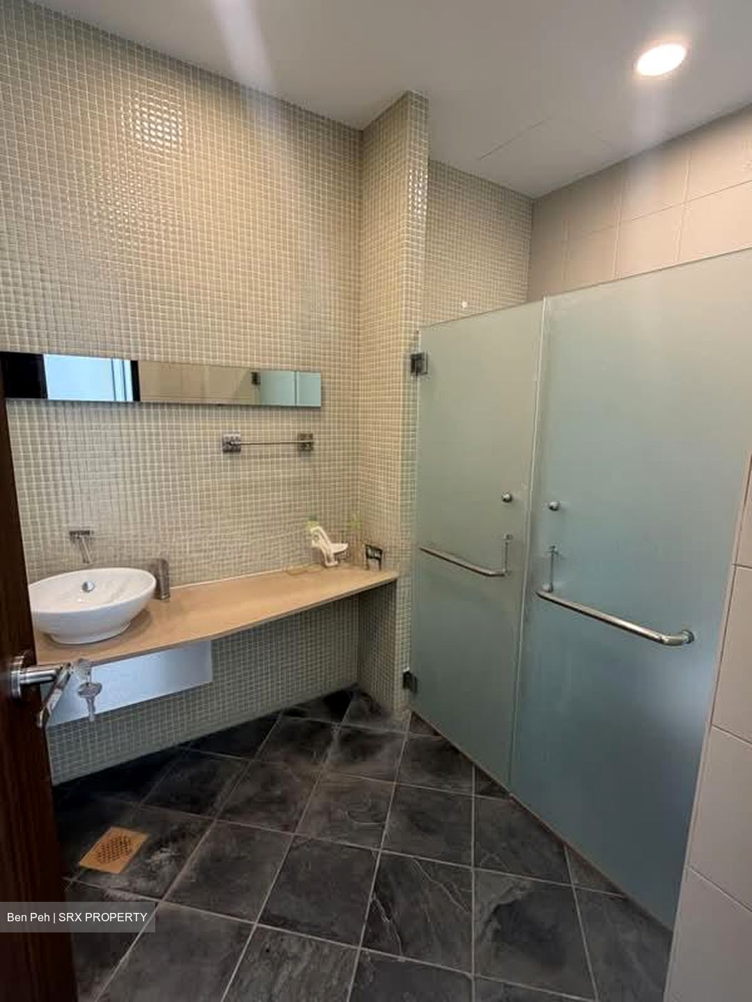 Joo Chiat Place (D15), Detached #578767651